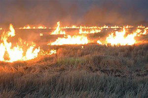 Kütahya`da Anız Yangını Uyarısı