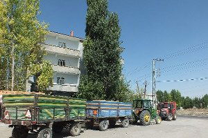 Malazgirt`te Buğday Alımına Başladı