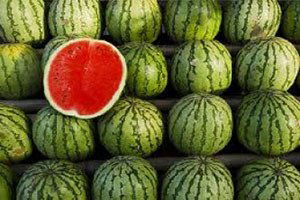 Bafra karpuzu çiftçinin yüzünü güldürmedi