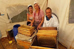 Bal Çok Üreticisine Tadı Yok