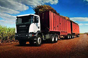 Brezilya, şeker üretimine yatırımcı bekliyor