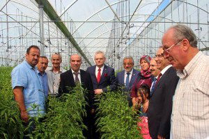 Çankırı`dan Paris`e Biber İhracatı Yapılıyor