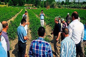 Çiftçinin beklediği prim hesaplarına yatı