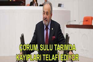 Çorum, Sulu Tarımda Kayıpları Telafi Ediyor