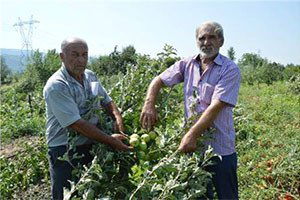 Dolu ve fırtına Tokatlı çiftçiyi vurdu