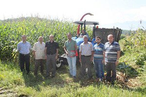 Düzce`de Silajlık Mısır Hasadı Başladı