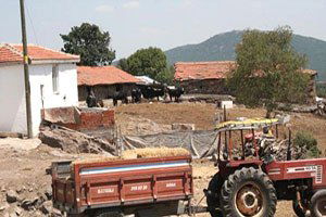 Edirne`de `Şarbon` Karantinası