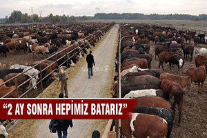 Et ithalatı olursa 2 aya yüzlerce besici batar