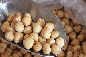 Fındık Alımları Başladı