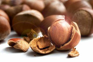 Fındık Yeni Sezonu 12 TL`den Açıyor