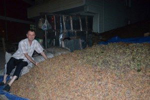 Gündüz Hasat, Gece Nöbet