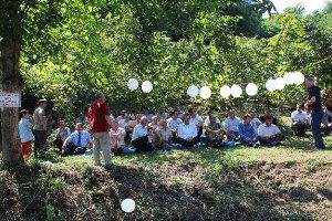 İkizce`de Fındıkta Verimi Artırma Çalışmaları