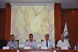 İncirin Sıkıntıları Tartışıldı, Jeotermal İlk Sırada