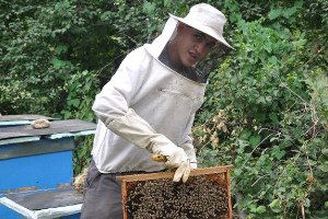 İnternetten Araştırarak Bal Üretimine Başlayan 17 Yaşındaki Genç Bir Milyon Arıya Bakıyor