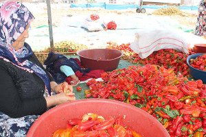 İSOT`un Bu Yıl Kilosu 30 Lira