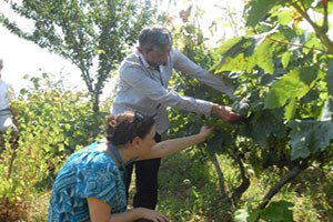 İzmit Belediyesi Köylülere Yol Gösteriyor
