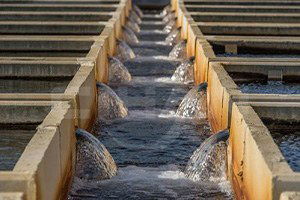 İZSU`dan üreticiye çağrı: Suyumuza sahip çıkın