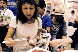 Japonlara Orkinos, Levrek ve Çipura Ziyareti