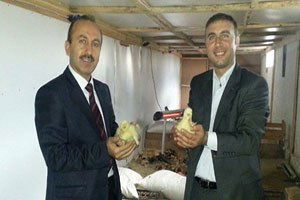 Kars`ta Kaz Yetiştiriciliği Destekleniyor