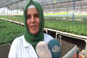 Kumluca`da Yeni Sezon İçin Fide Üretimi Başladı