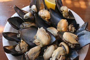 Midyeyi Çiftlikte Yetiştirip Fabrikada İşleyecek