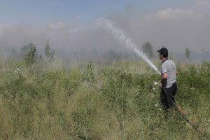 Muş Ovası`nda Ekili Alanda Yangın