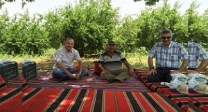 Organik Meyveciliğe GAP BKİ Desteği