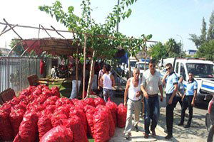 Salçalık Biber Satıcılarına İntizam Uygulaması