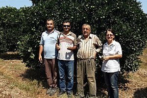 Söke`de Bahçelere Zararlı Böcek Avcıları Salındı