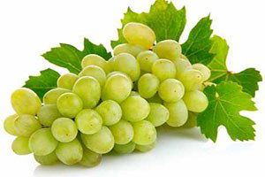 Avrupa ve Rusya`ya Sezonun İlk Sultaniye Üzümü İhracatı Başladı