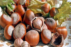 12 Liradan Sezonu Açtı Cumhuriyet Tarihinin Rekorunu Kırdı