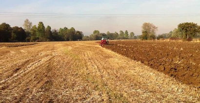 Tarım`da Yatırıma Teşvik İçin İmar Planı Şart Değil