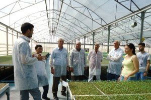 Tika Desteğiyle Türkmenistanlı Heyete Seracılık Eğitimi