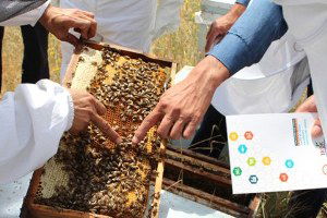 TKDK`dan Arıcılara Sürdürebilirlik Eğitimi