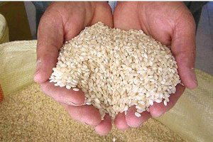 TMO Batmanda 700 Ton Pirinç Sattı