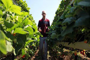 Topraksız tarımla gelirini beşe katlayacak