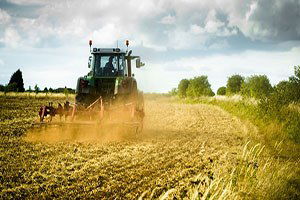 Türkiye`nin en çok ürettiği tarım ürünleri