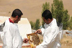 Van`daki Arıcılar `Balın Tadı Kaçtı` Diyor