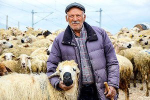 Yanlış hayvancılık politikaları etin ucuzlamasını engelliyor