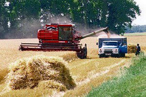 Yanlış tarım politikaları tüketiciyi açlığa terk etti