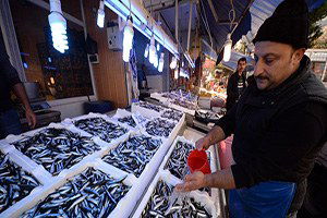 Yeni sezonda hamsi bereketi olacak