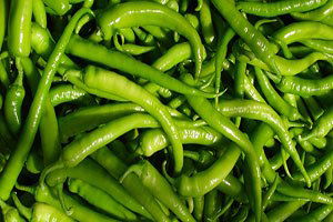 Yenişehir`in altını biber, bu yıl üreticiyi güldürdü