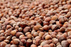 20 Sezonda 25.6 Milyar Dolarlık Fındık İhraç Edildi