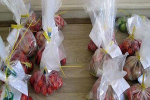 Açık Alanda Domates Üretiminde Eküy Çalışmaları Tamamlandı