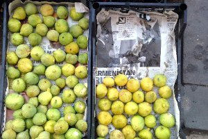 Adıyaman İncirleri Satılmaya Başladı