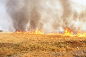 Çiftçilere Anız Yangını Uyarısı