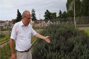 Tıbbi Aromatik Bitkilerin Kıymetini Bilmiyoruz