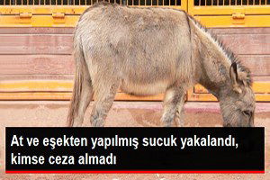 At Eti Sattıkları İddiasıyla Teşhir Edilen Firmanın Sahipleri Beraat Etti