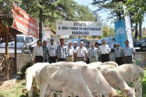 Hayvancılığı Geliştirme Projesi