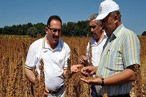 Çiftçi Astronot Yiyeceği Ekecek